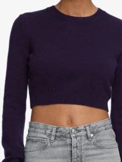 The Cashmere School Crew Sweater -- Royal Purple -Frame Sale Store 1005918 PHAN WF25KSW023 RYPL 8998